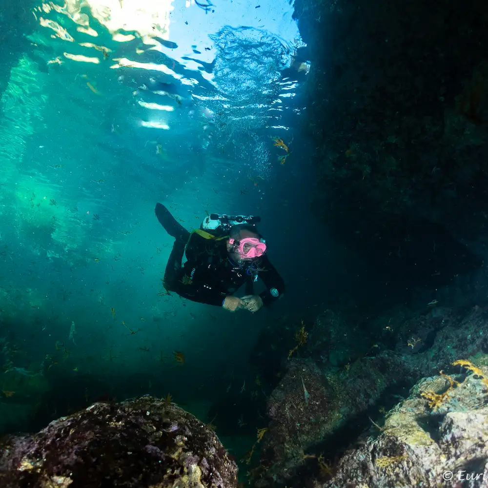 Divespot Portugal