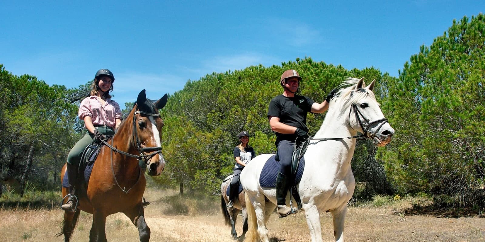 Pinetrees Riding School