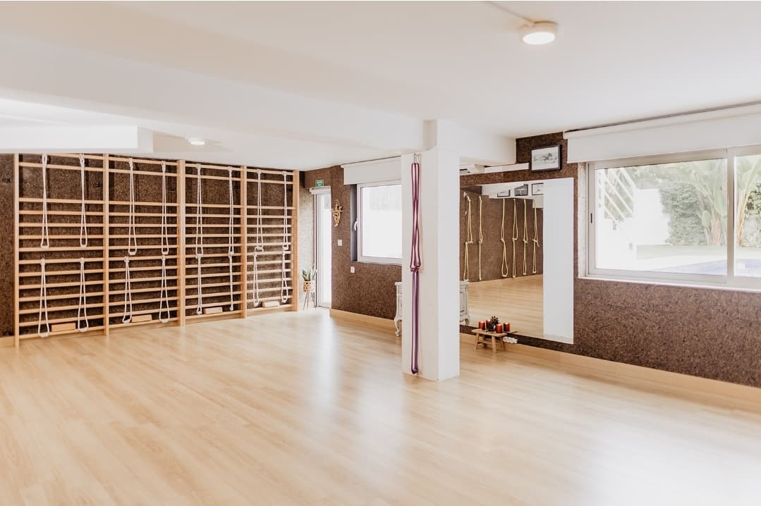 Sol Viegas Iyengar Yoga & Massage