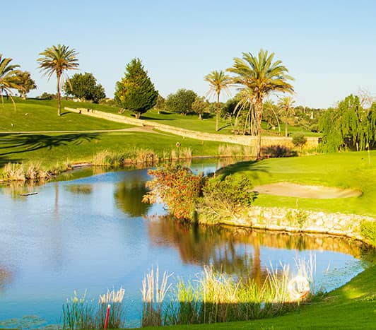 Summer Special — 2 players + 1 shared buggy included