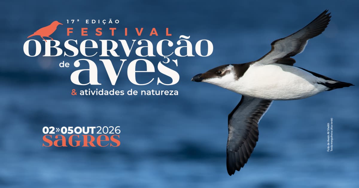 17th Sagres Birdwatching and Nature Activities Festival