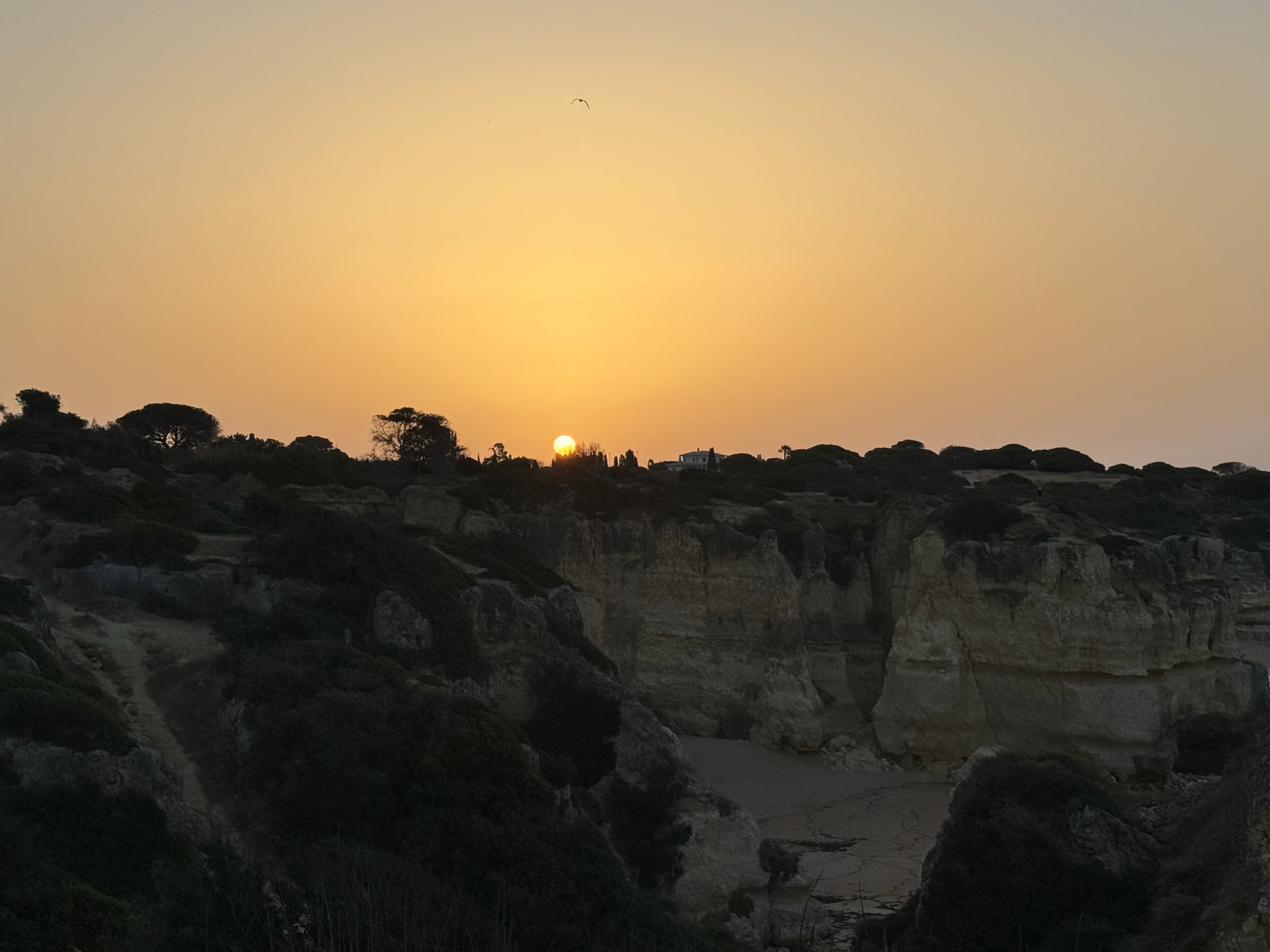Praia do Castelo