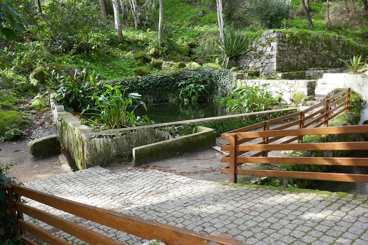Caldas de Monchique Spa Woods