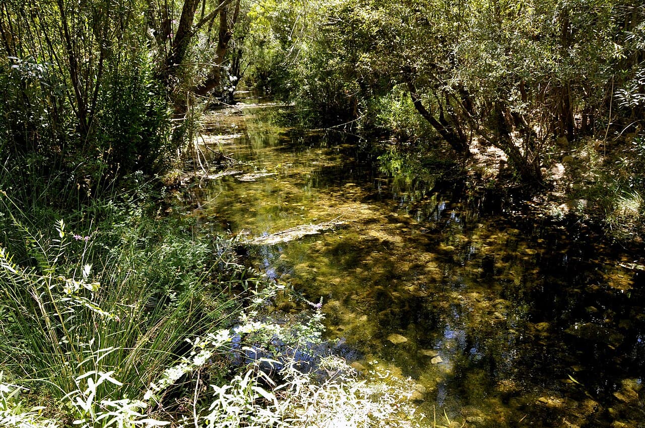 Fonte Benémola Springs Loop