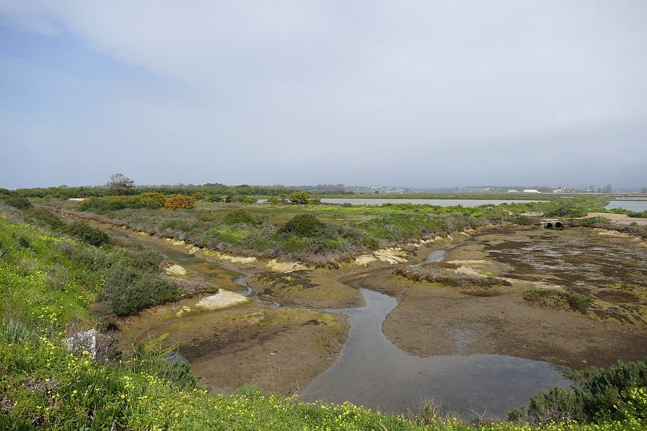 Ludo Trail Flamingo Lagoons