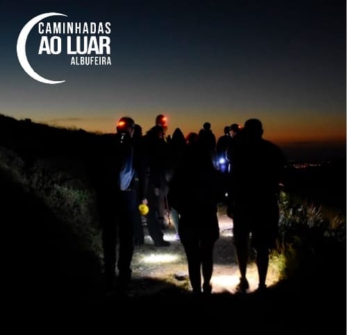 Moonlight Walks