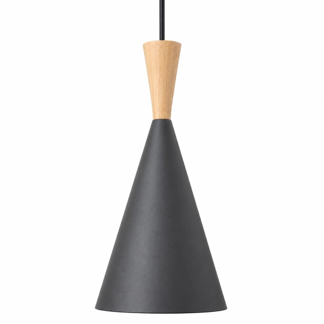 Black ceiling lamp
