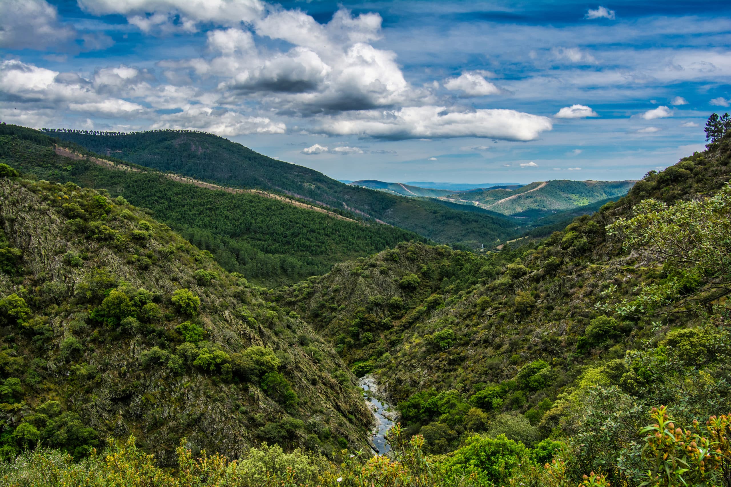 Green mountains and valley with river under cloudy sky