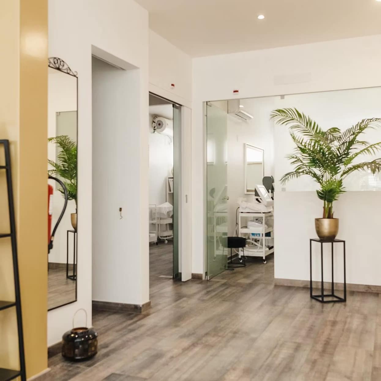 imgi_61_bccb25_ea246a068cbf47e683536c5090415994~mv2