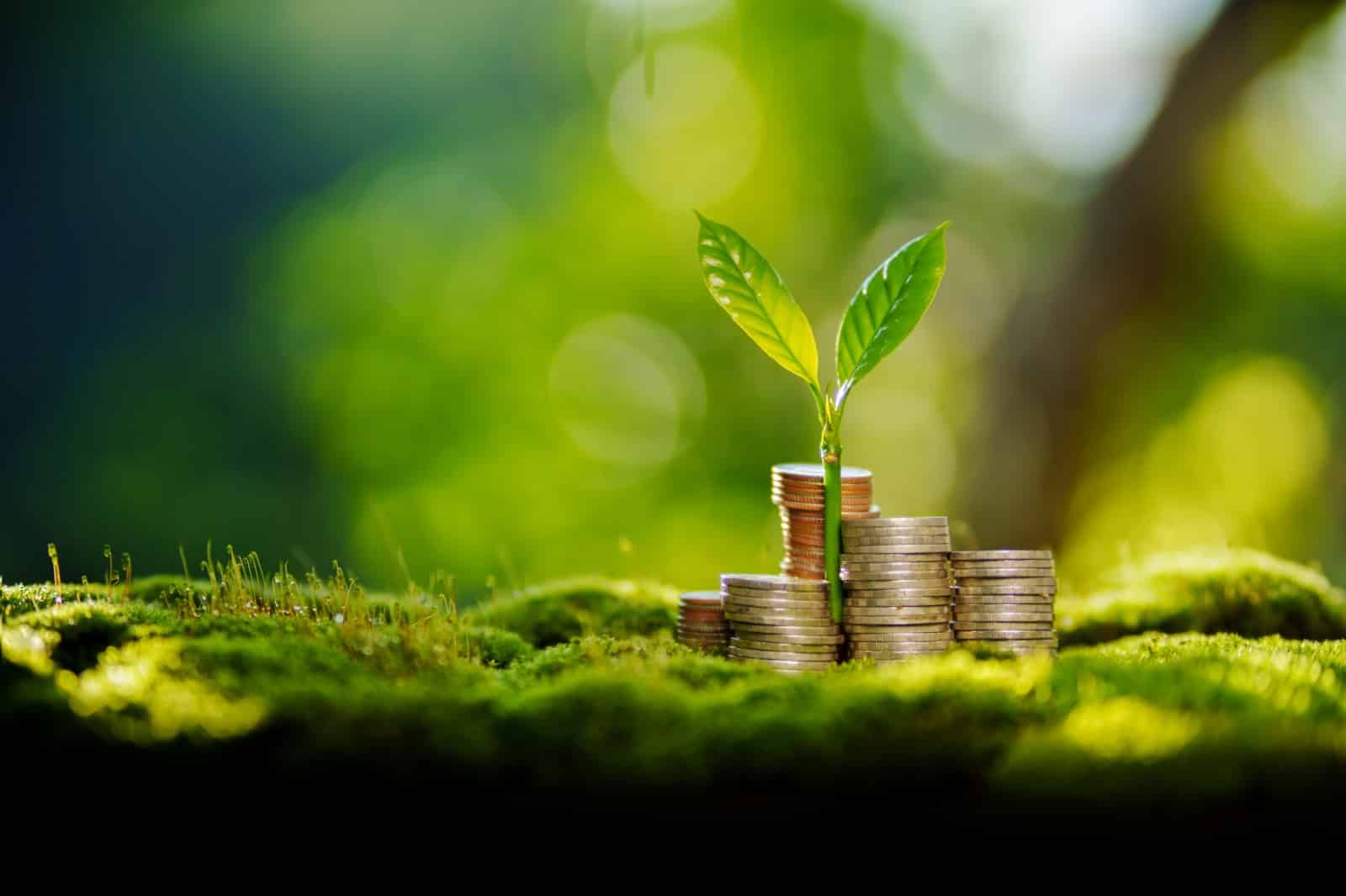 Dots & Spotts Finance: Financial Education about low-fee investing with ~10%p.a., Bitcoin, Gold & more