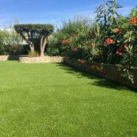 imgi_16_Grasshopper-Greens-20