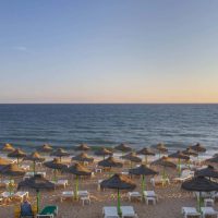 imgi_175_izzys-gallery-61-1536x1024