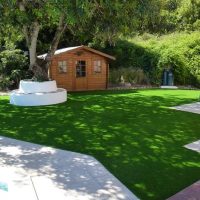 imgi_17_Grasshopper-Greens-3