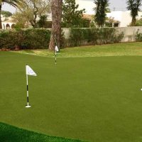 imgi_42_Grasshopper-Greens-143