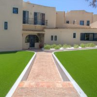 imgi_8_Grasshopper-Greens-61